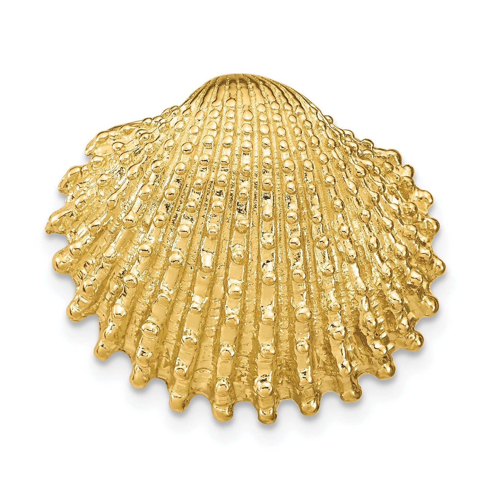 14k Scallop Shell Slide Main image