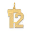 14K Gold Satin Number 12 Charm with Brushed Finish Medium