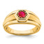 14k Ruby Mens Ring