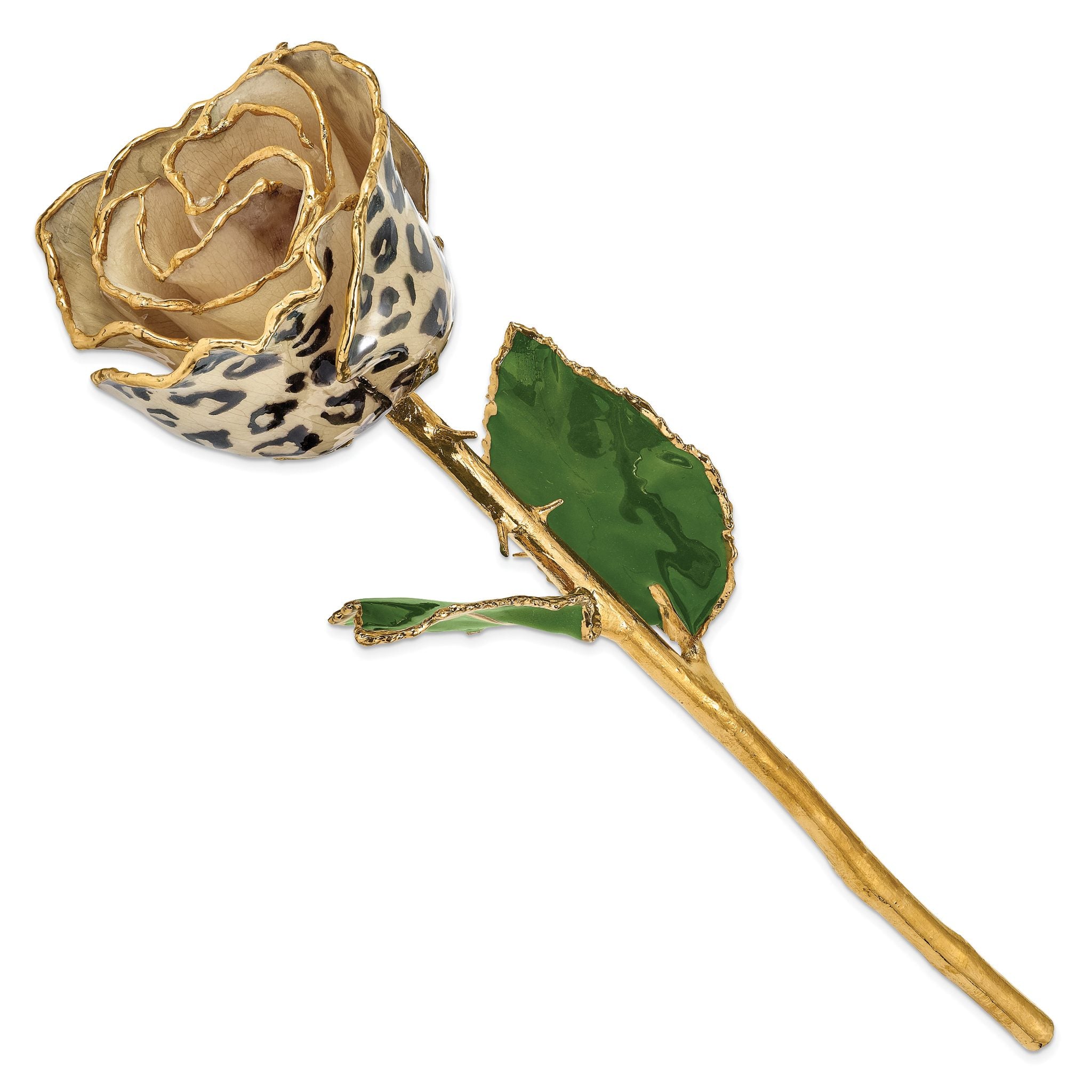 Lacquer Dipped 24k Gold Trimmed Cream/Black Leopard Real Rose Secondary image