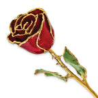 Lacquer Dipped Gold Trim  January Birthstone Garnet Rose