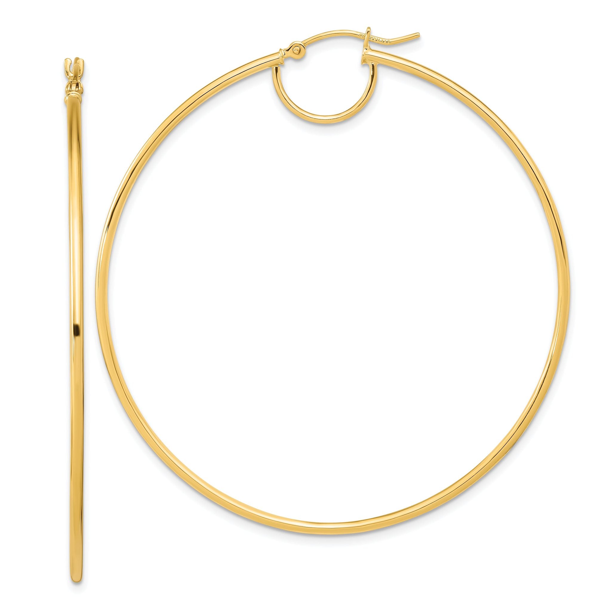 14K Polished Fancy Hoop Earrings Main image