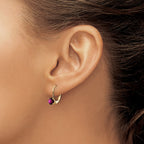 14k 5mm Amethyst Leverback Earrings