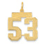14K Gold Medium Satin Number 53 Charm with Brushed Finish