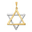 14K Two-Tone Gold Star of David Pendant with Elegant Closed Back Design