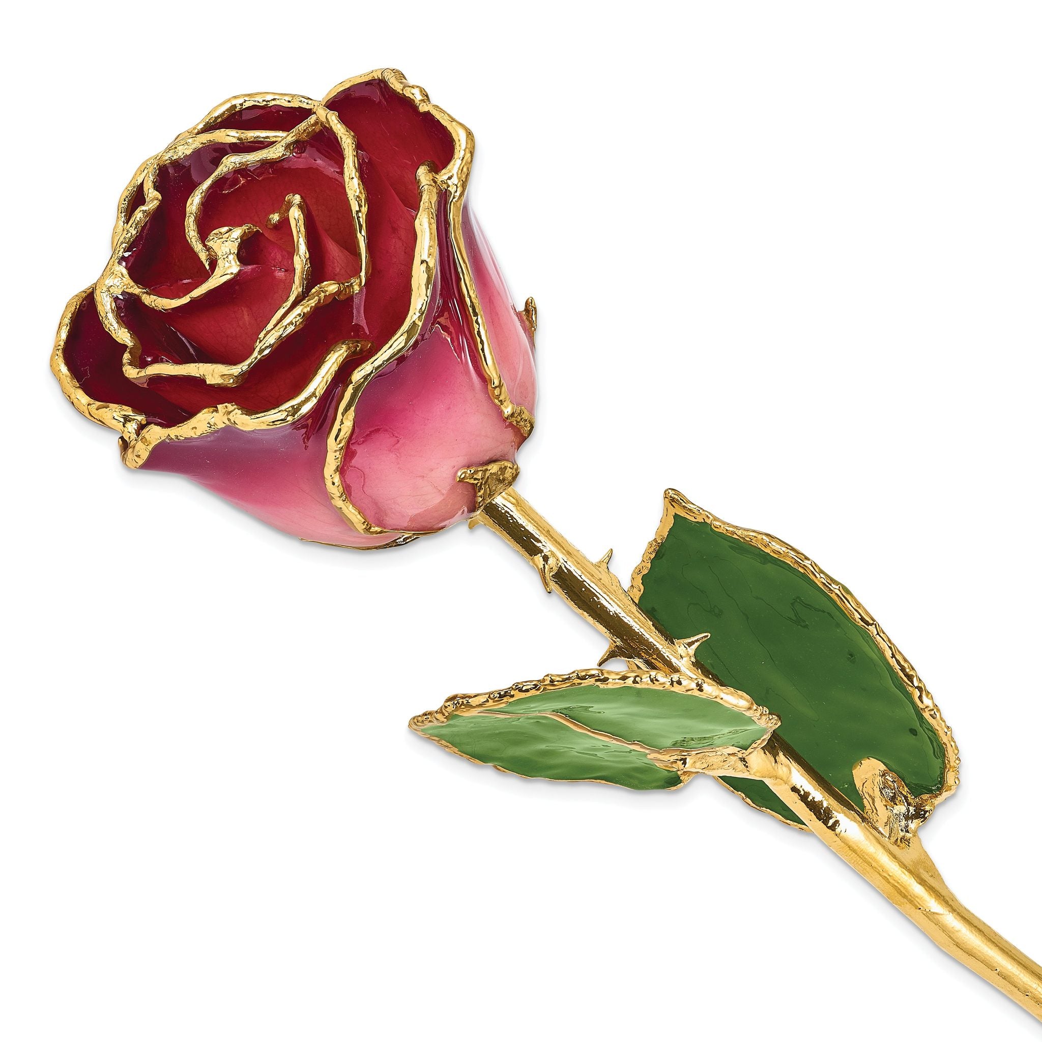 Lacquer Dipped Gold Trimmed Pink and Burgundy Real Rose Main image