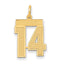 14K Gold Satin Finish Number 14 Charm Laser Cut Elegance by Sophia Jewelers