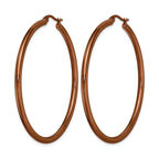Stainless Steel Brown Polished Hoop Earrings for Women