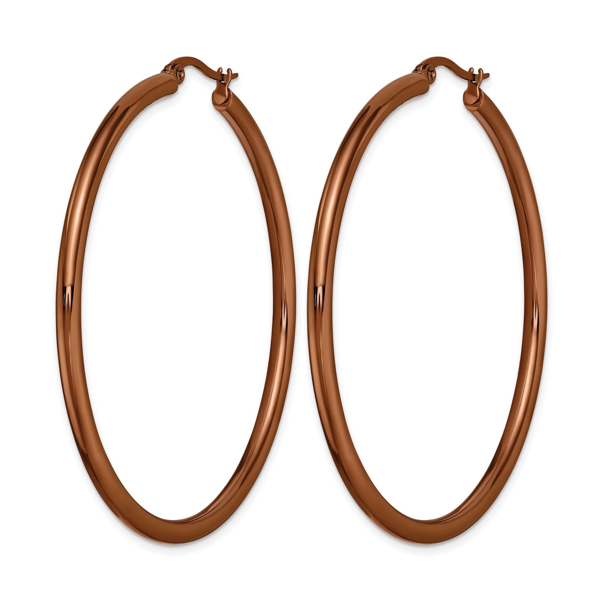 Stainless Steel Brown Polished Hoop Earrings for Women