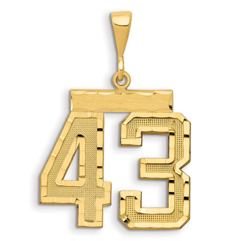 14K Gold Large Diamond-Cut Number 43 Brushed Charm