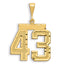 14K Gold Large Diamond-Cut Number 43 Brushed Charm