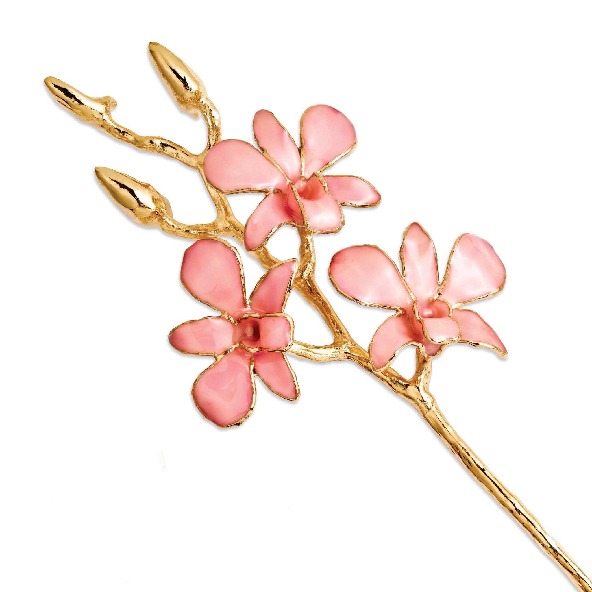 Lacquer Dipped Gold Trimmed Pink Real Orchid Stem Main image