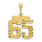 Large Number 65 Charm in 14K Yellow Gold, Brushed & Diamond-Cut - Sophia Jewelers