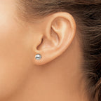 Titanium Polished Ball Earrings