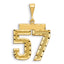 14K Gold Large Diamond-Cut Number 57 Brushed Charm