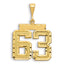 14K Gold Large Diamond-Cut Number 63 Brushed Charm