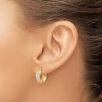 14k w/White and Rose Rhodium Polished Satin Hoop Earrings
