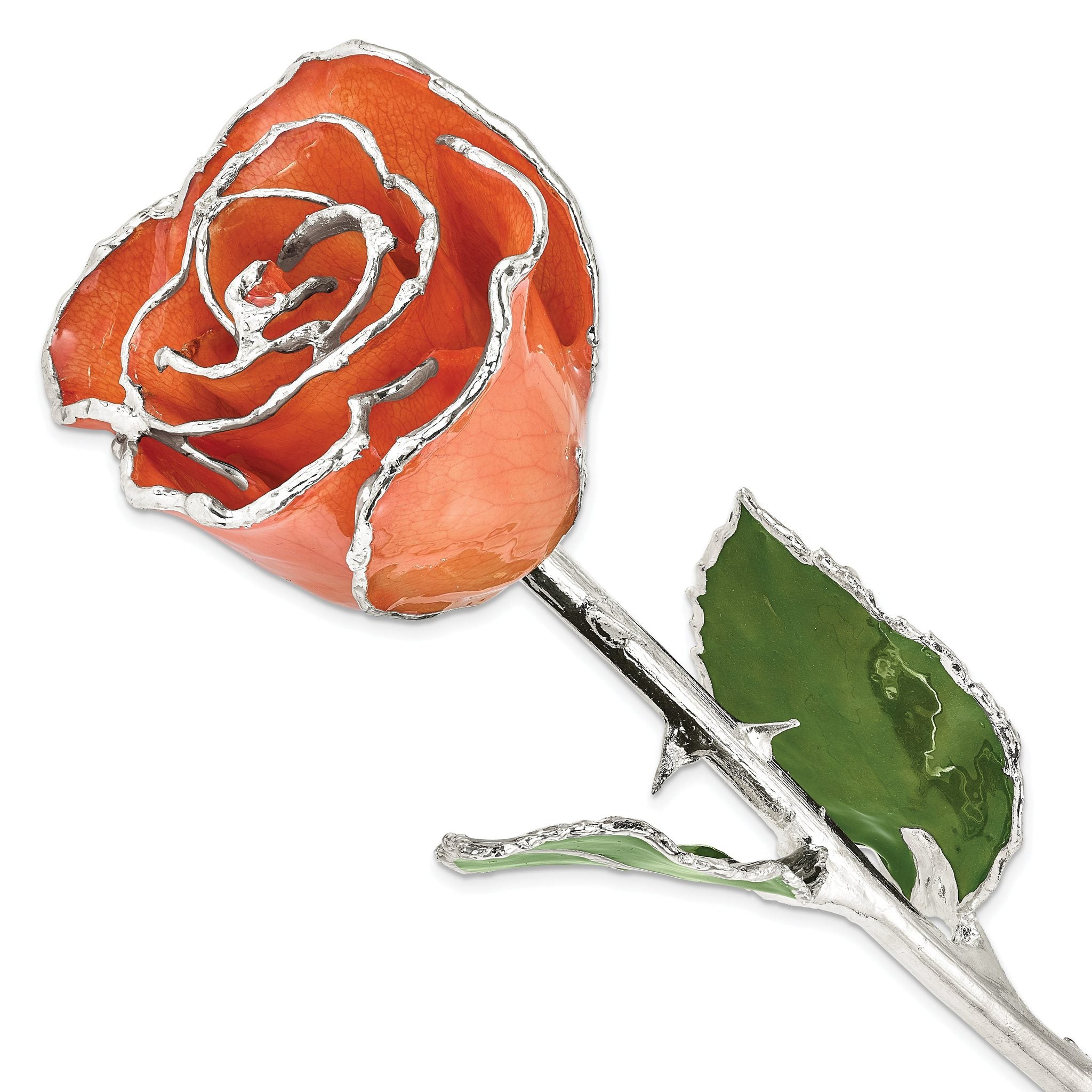 Orange Lacquer Dipped Silver Trimmed Real Rose Main image