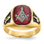 14k Men's Polished and Textured with Black Enamel and Lab Created Ruby Masonic Ring