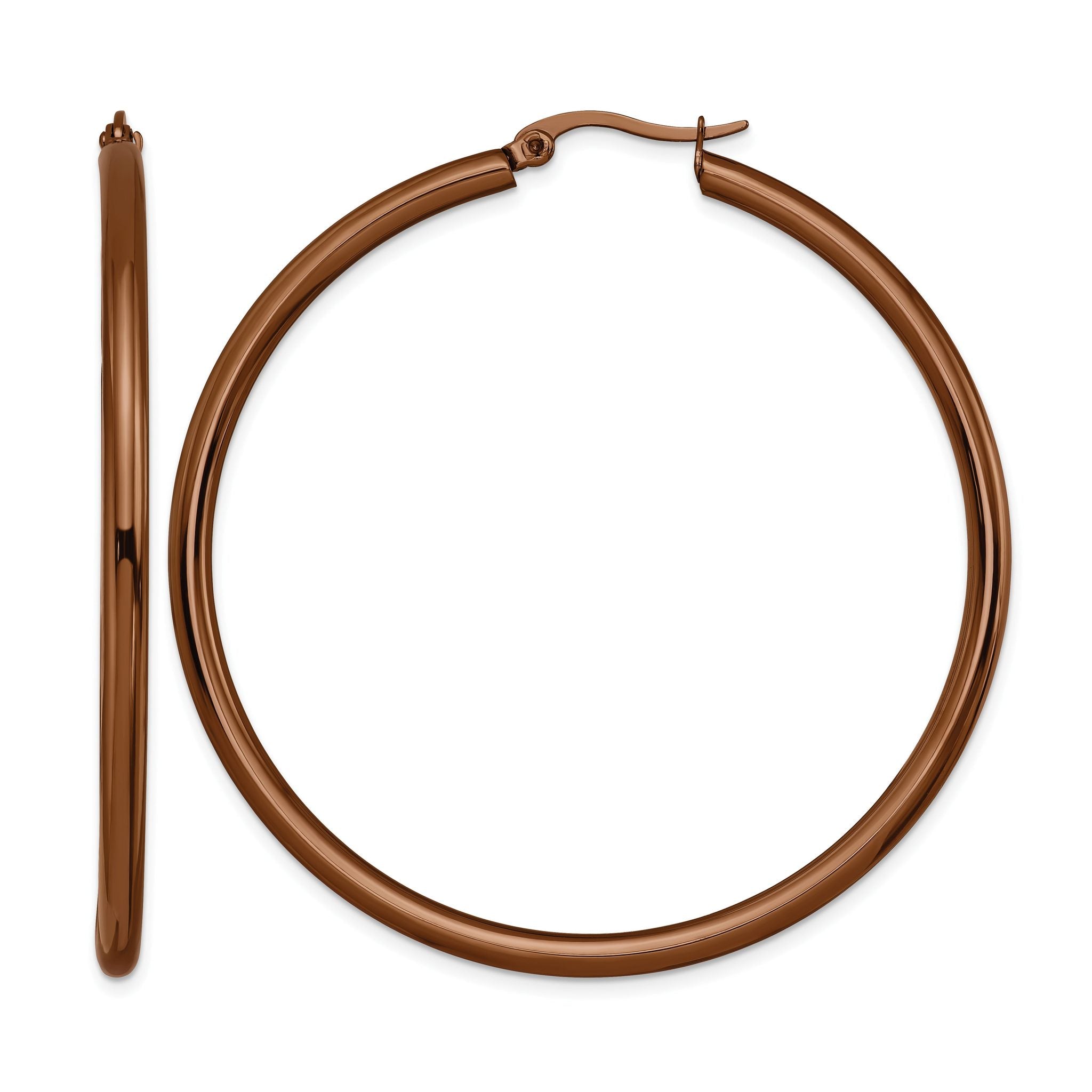 Stainless Steel Brown Polished Hoop Earrings for Women Main image