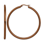 Stainless Steel Brown Polished Hoop Earrings for Women