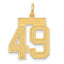 14K Gold Satin Finish Number 49 Charm with Brushed Texture
