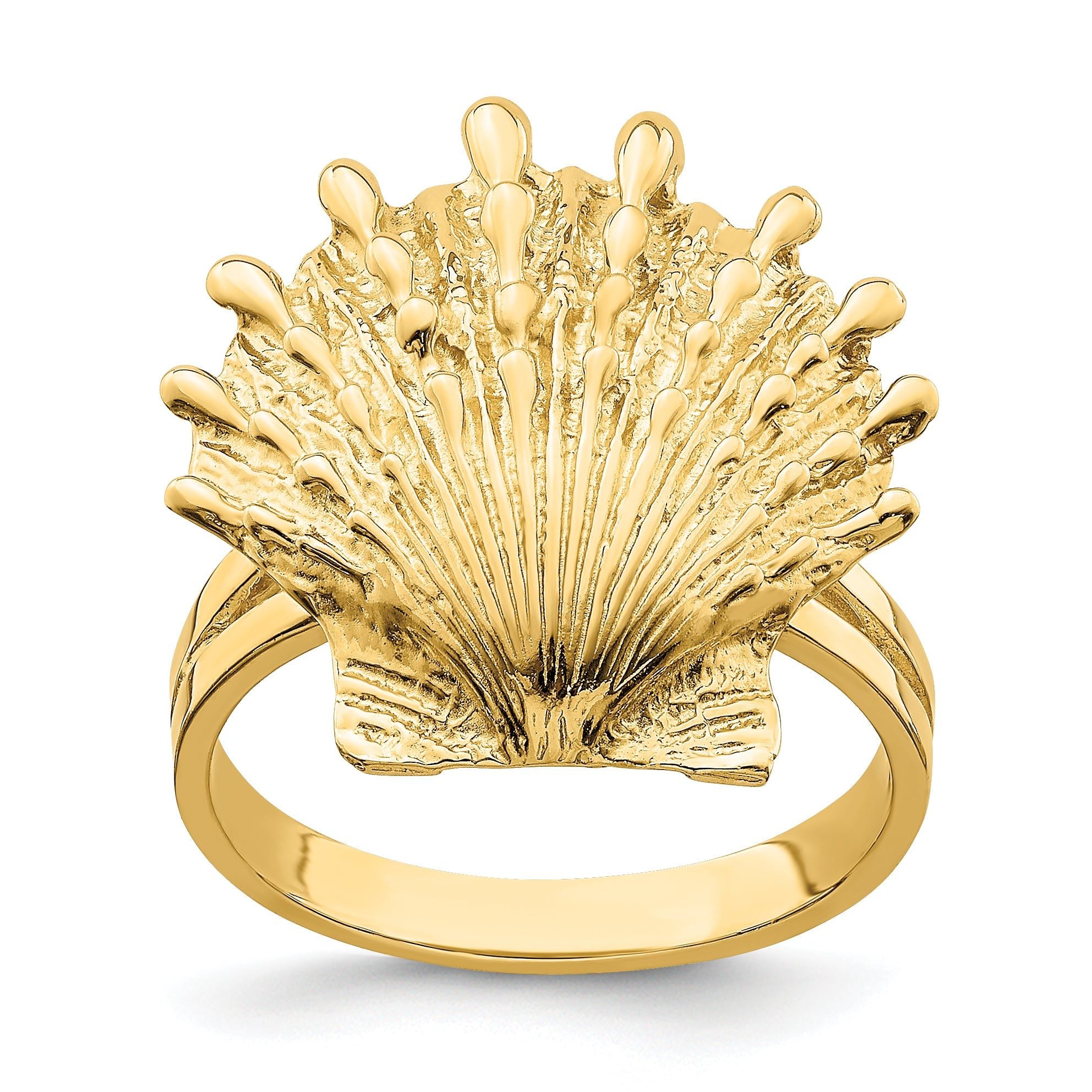 14K Lion's Paw Shell Ring Main image