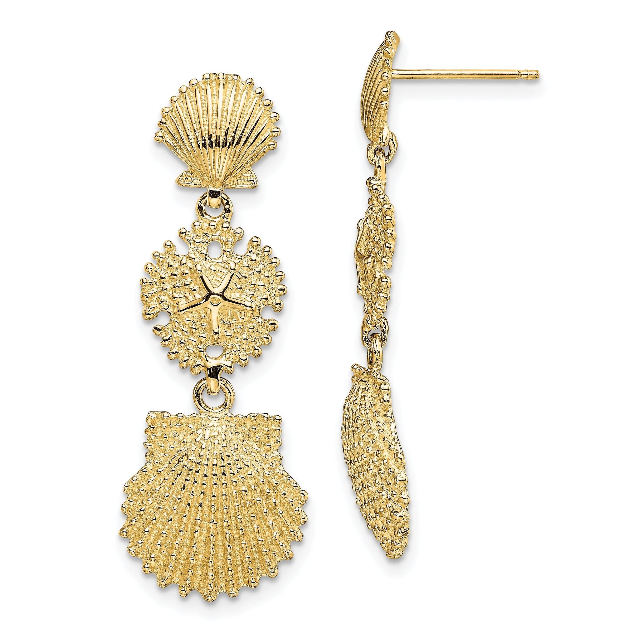 14K Scallop, Sand Dollar,,Scallop Dangle Earrings Main image