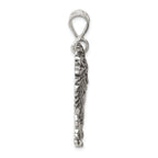 Sterling Silver 925 Men's Lion Charm Antique Finish by Sophia Jewelers