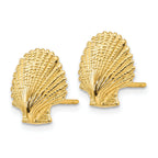 14K Scallop Shell Post Earrings
