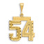 14K Gold Large Diamond-Cut Number 54 Charm with Brushed Finish