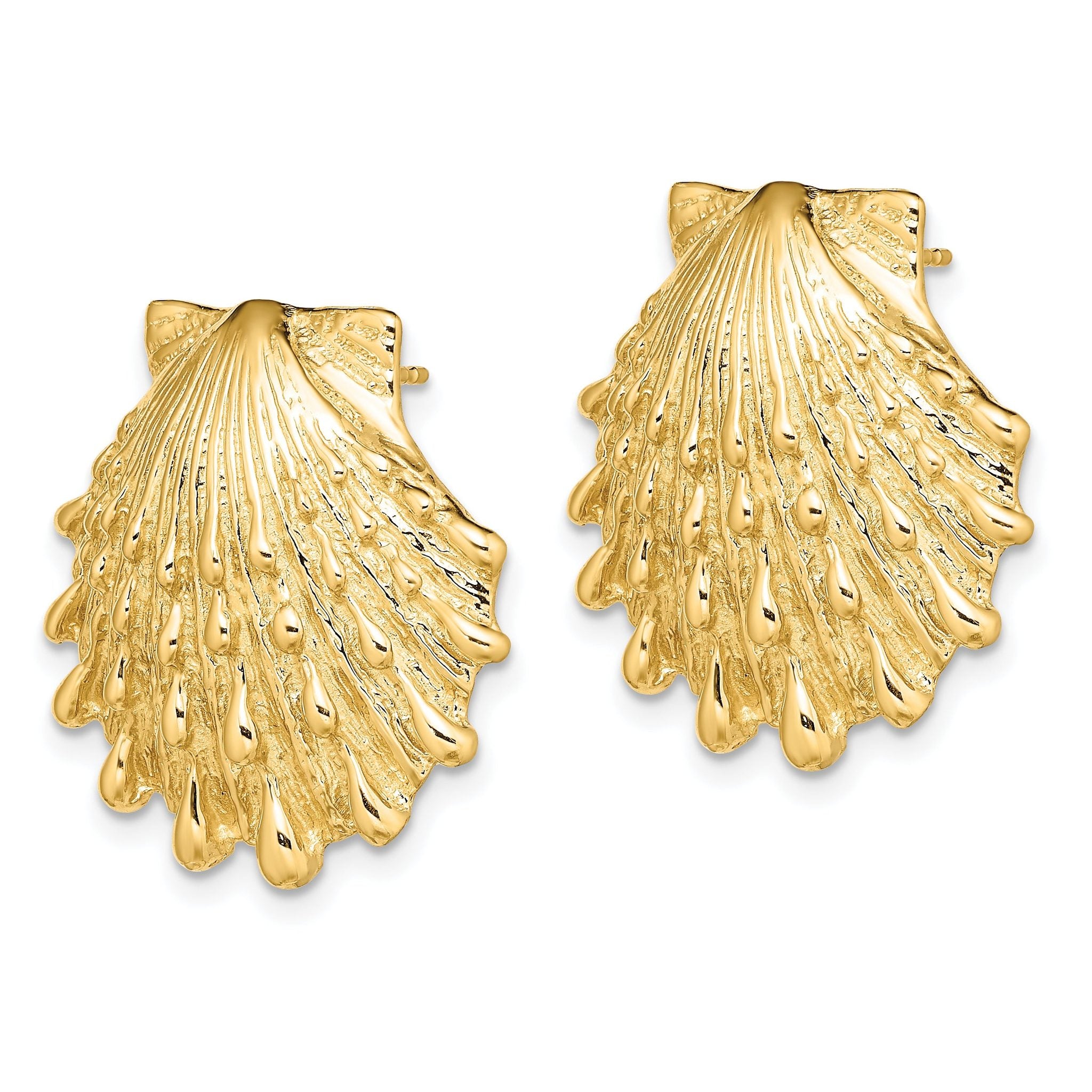 14K Lion's Paw Shell Post Earrings Secondary image