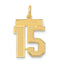 14K Gold Satin Number 15 Charm with Brushed Finish Medium Size