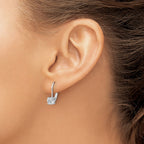 Sterling Shimmer Sterling Silver Rhodium-plated 5mm CZ 2 Stone Leverback Earrings
