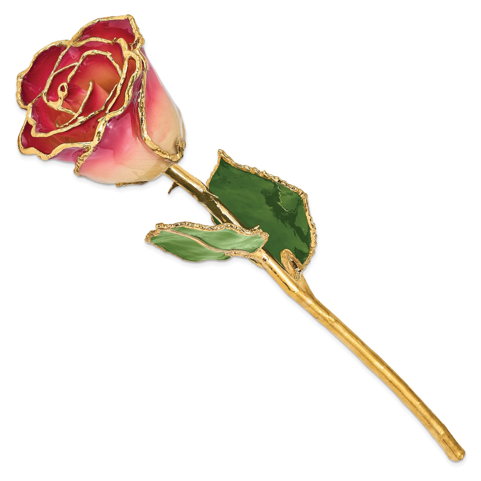 Lacquer Dipped Gold Trimmed White and Burgundy Real Rose Secondary image