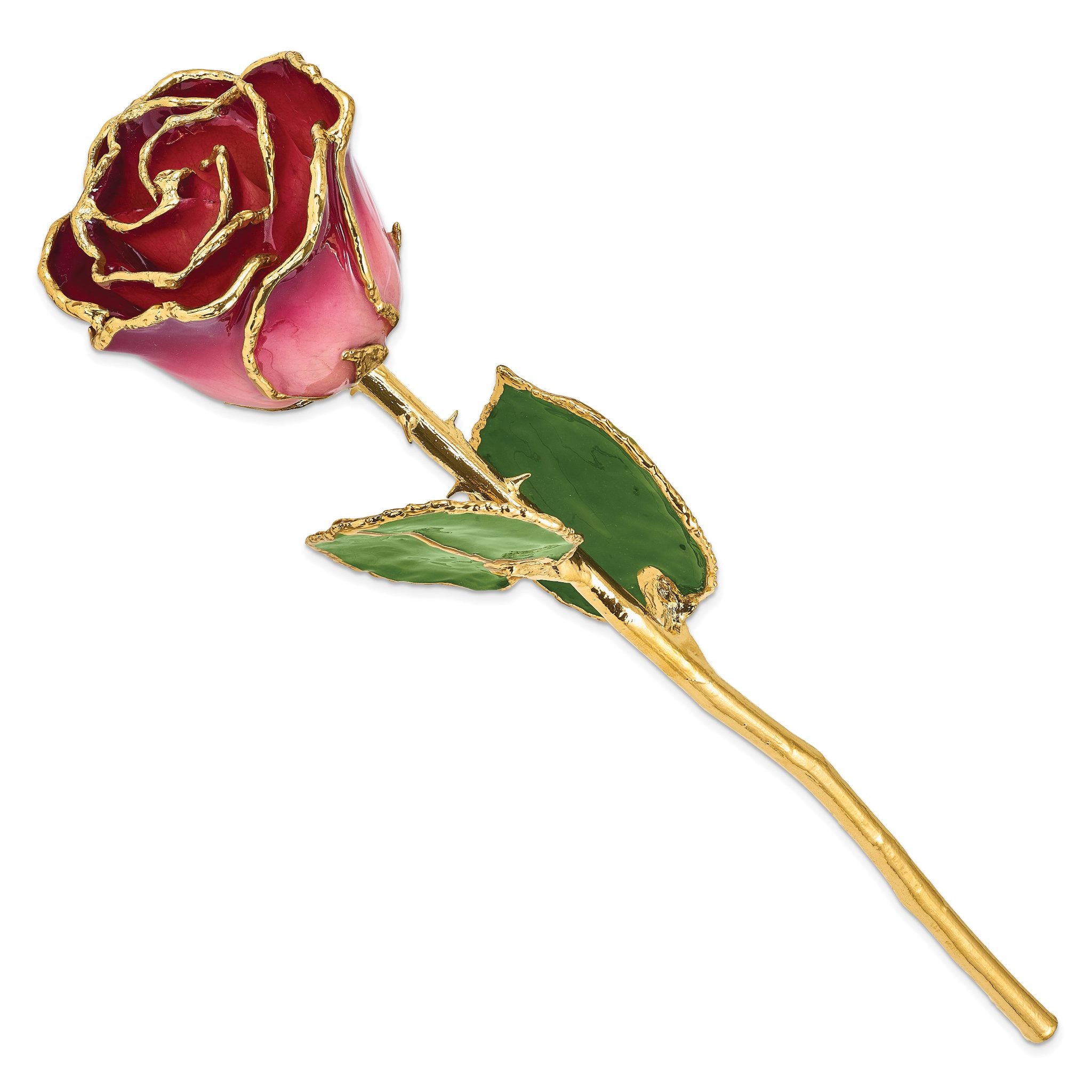 Lacquer Dipped Gold Trimmed Pink and Burgundy Real Rose