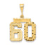 14K Gold Diamond-Cut Number 60 Charm with Polished Finish