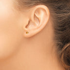 Inverness 24K Gold Plated November Yellow Crystal Birthstone Stud Earrings for Women