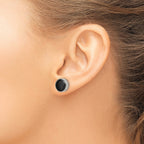 Titanium Ceramic Brushed Button Earrings