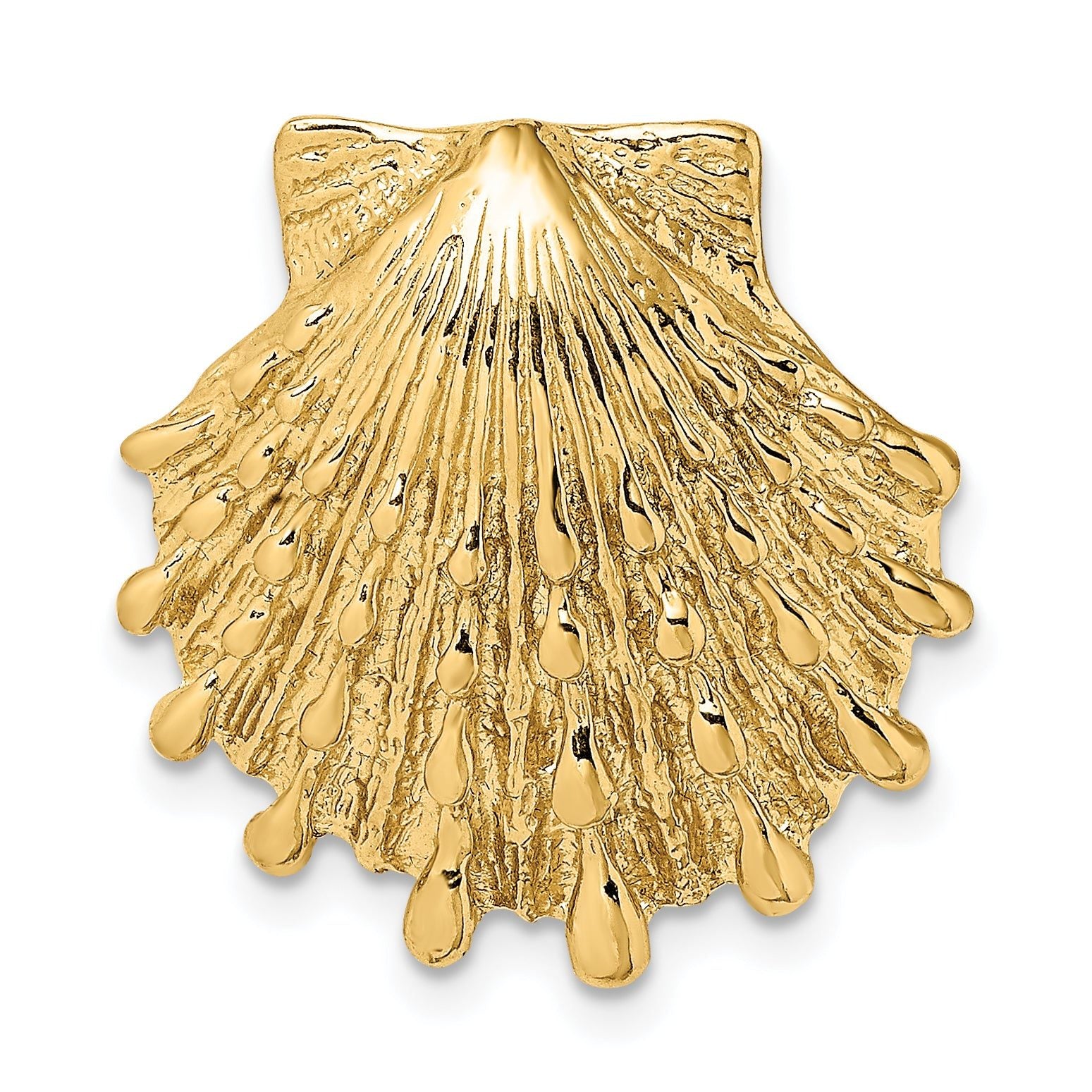 14k Small Lion's Paw Shell Slide Main image