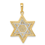 14K Gold Star of David Pendant with Rhodium Mesh Accent, 32mm Elegant Design