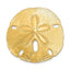 14K Gold Sand Dollar Slide Pendant Fits 8mm & 10mm Omega, Polished Finish