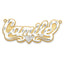 10K 3D Two-tone Diamond-cut Name Plate