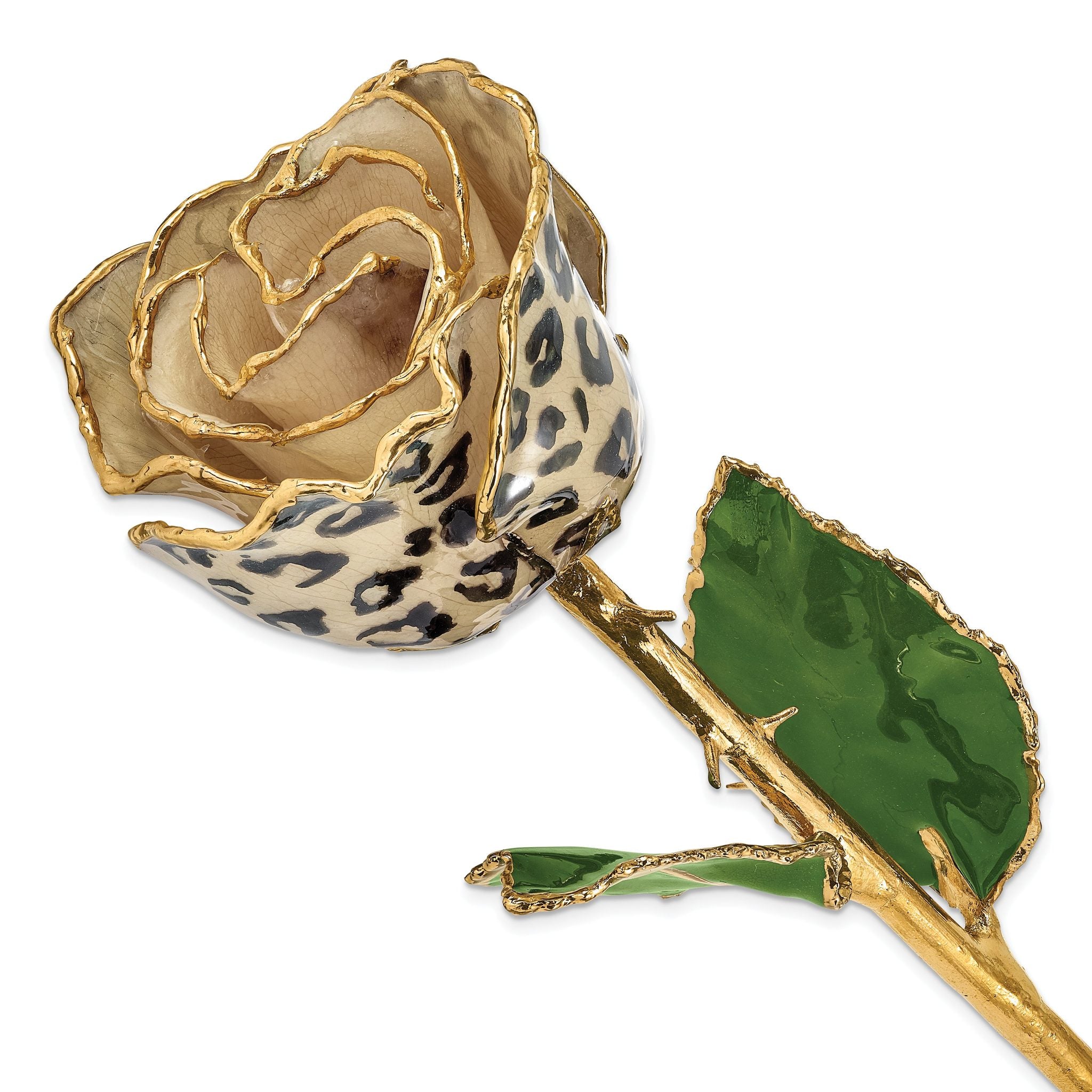 Lacquer Dipped 24k Gold Trimmed Cream/Black Leopard Real Rose Main image