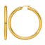 Stainless Steel Gold-Tone Polished Hoop Earrings for Women