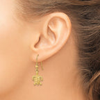 14k Polished & Textured Diamond-cut Turtle Shepherd Hook Earrings