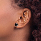 Stainless Steel Polished Round Black Cubic Zirconia Stud Earrings