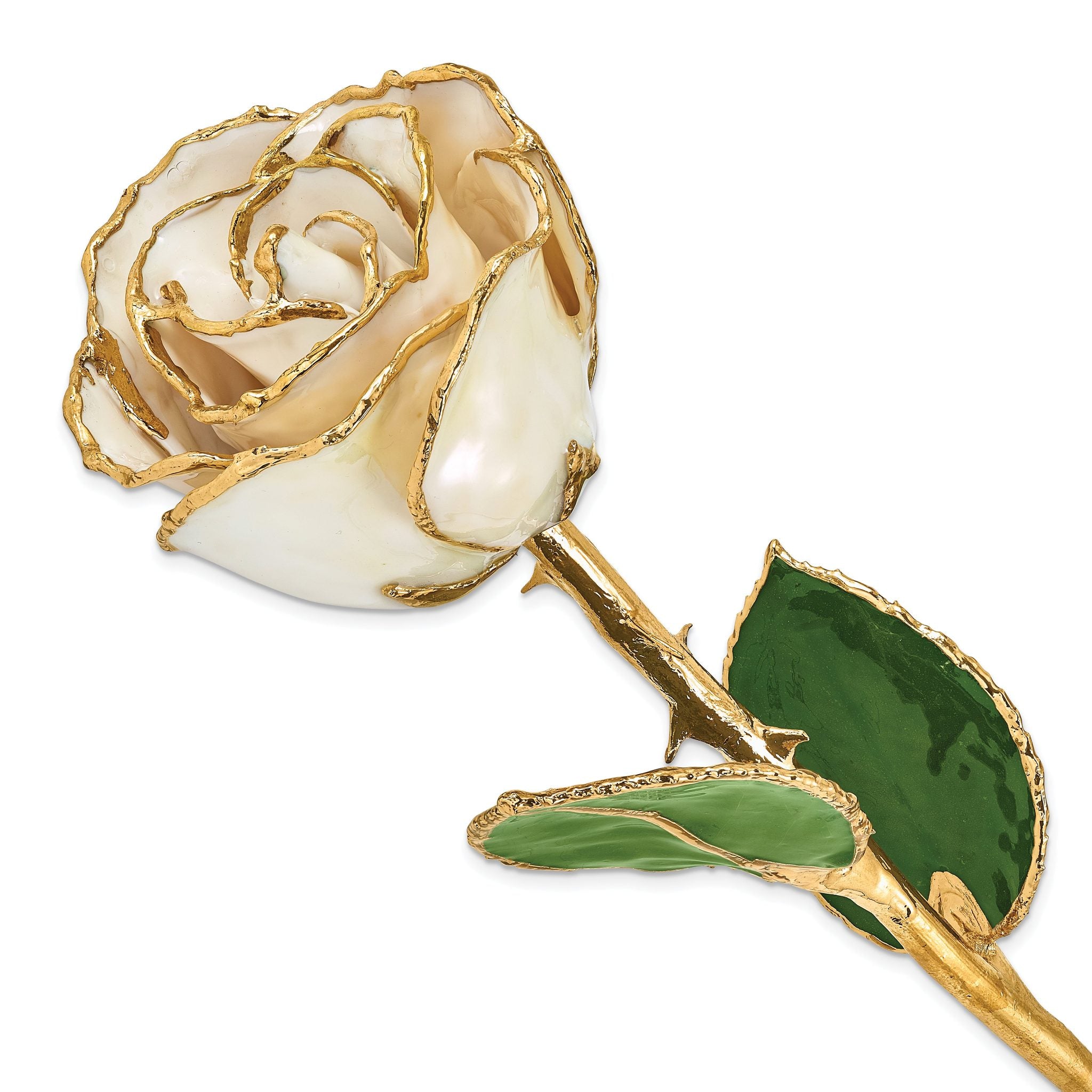 Lacquer Dipped Gold Trimmed White Satin Real Rose Main image