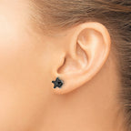 Stainless Steel Polished Star Black Cubic Zirconia Stud Earrings