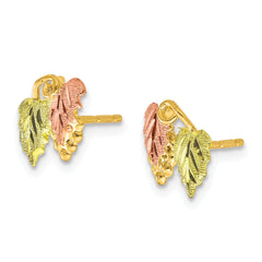 10K Tri-Color Black Hills Gold Button Earrings with Polished Finish